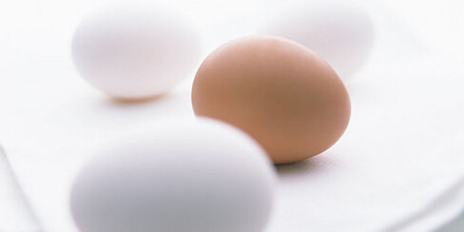 15天水煮蛋减肥法 具体食谱操作方法分享