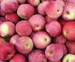 最适合冬季的减肥水果 4种减肥人士必知的减肥水果大王
