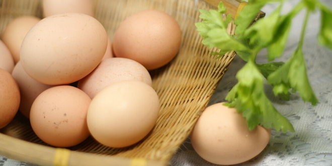鸡蛋祛斑的小窍门 助你塑造令斑点肌肤
