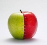 苹果减肥法有效吗 “减肥水果之王”的秘密