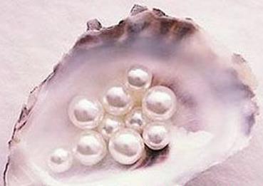 最流行珍珠粉去黑头的小窍门 让你鼻头恢复光泽