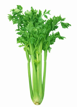 最瘦脸蔬菜——芹菜