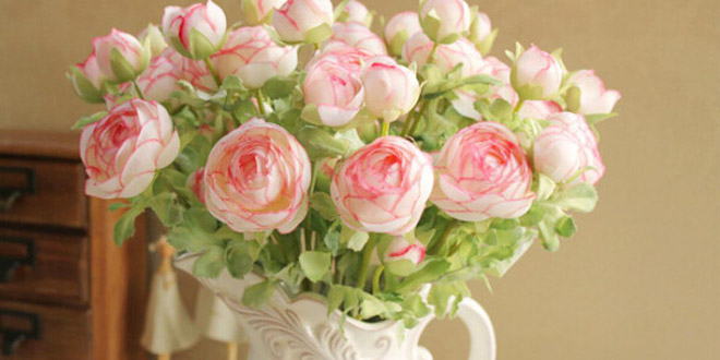 蔷薇的花语是什么 美丽传说了解