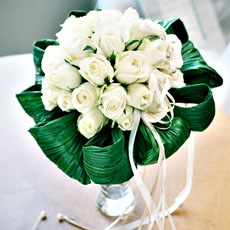 白玫瑰的花语是什么 代表着最纯洁的爱