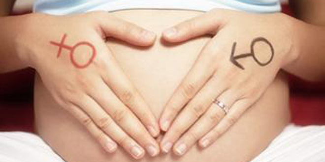 从胎心率看胎儿性别准吗 怎样从胎心率看男女