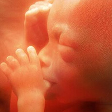 5个月胎儿发育指标 孕妈护理要点需谨慎