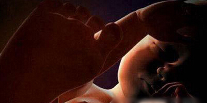 怀孕全过程胎儿图 见证每个奇迹瞬间