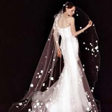 十二星座婚纱礼服图片赏析 让你成为最漂亮的新娘