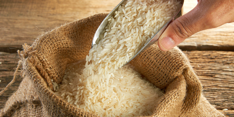 大米生了虫子怎么办 预防大米生虫的措施