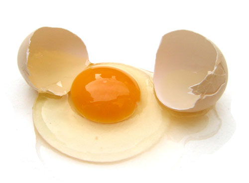怎么挑选新鲜鸡蛋 让人造蛋靠边站