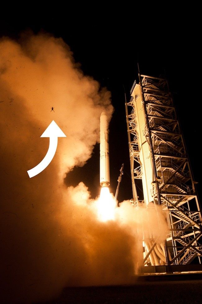火箭发射气流把青蛙炸上天 人类一小步青蛙一大步