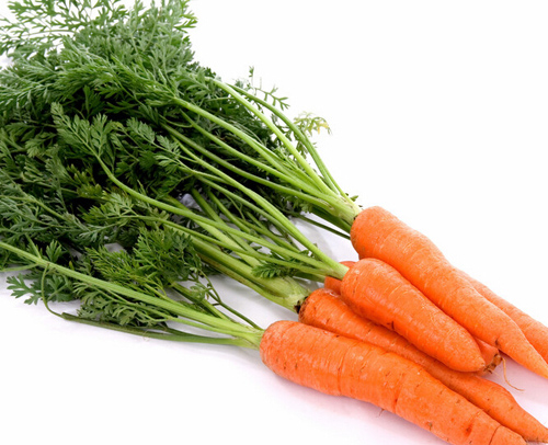 胡萝卜怎样吃最有营养 巧妙搭配保健康