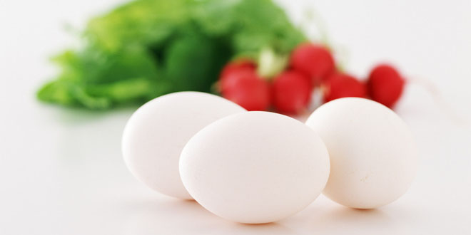 吃鸡蛋当心10个误区 正确认识鸡蛋