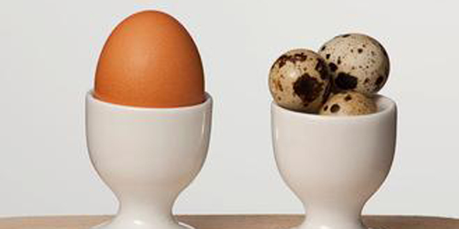 鹌鹑蛋的营养价值 鹌鹑蛋的功效与作用
