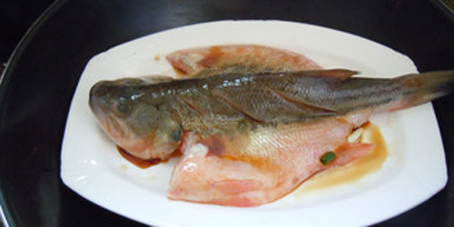 家常清蒸鲈鱼 口感咸鲜的广东名菜
