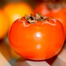 柿子的营养价值 柿子的药用价值与治病偏方