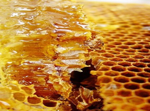 蜂胶的作用与功效 润肤生肌消炎止痛