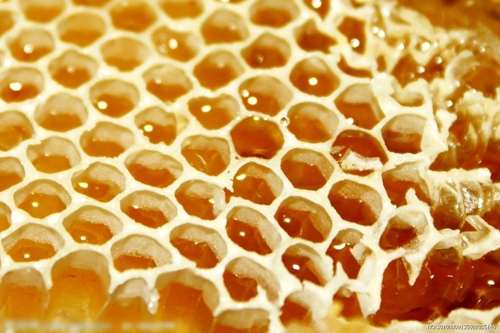 蜂胶的作用与功效 润肤生肌消炎止痛