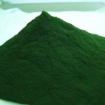 螺旋藻的功效与作用及食用方法 螺旋藻含及高的营养价值