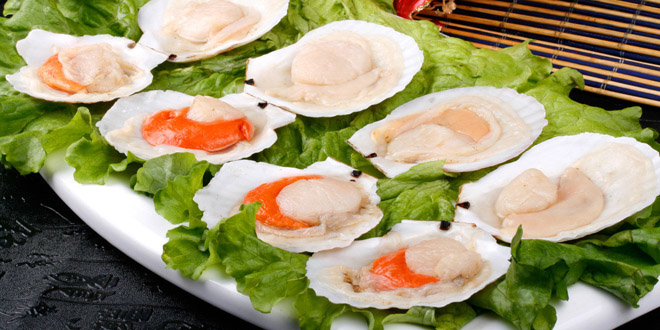 扇贝的营养价值及功效 健康美味的海产品