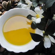 山茶油的功效与作用 纯天然绿色食用油