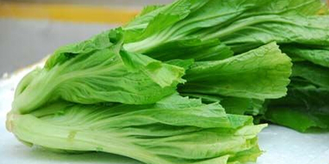 深绿色蔬菜对人体的好处 为身体提供大量钙