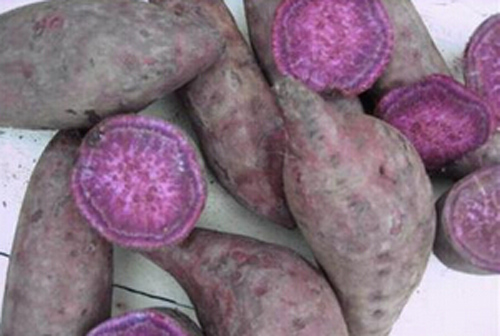 紫薯的营养价值有哪些 高含量的硒和锌抗氧化
