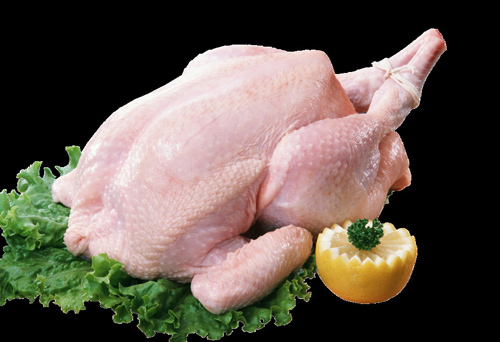 揭鸡肉的营养价值 温中益气好食材