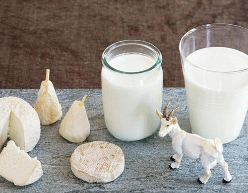 羊奶的功效与作用 营养丰富堪称奶中之王