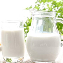 喝鲜牛奶的好处有哪些 有白色血液之称