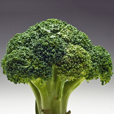 吃什么蔬菜补脑 十种常见补脑益智蔬菜