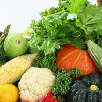 排毒的食物有哪些 排除体内的有害物质保持身体健康
