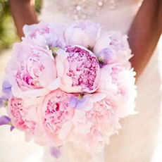 新娘手捧花的寓意盘点 颜色不一样意义不相同