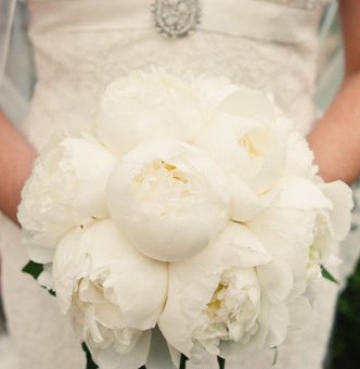 新娘如何选择手捧花 几种婚礼手捧花类型介绍