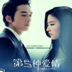 第三种爱情电影版演员表 刘亦菲宋承宪深陷感情漩涡